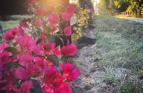 Sorrento Cabaña | Escape to a 3 Day Digital Detox Cottage at a Boutique Wellness Horse Ranch!