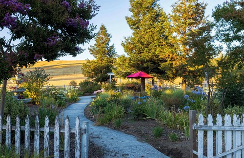 Petaluma Apartamento | Escape to a Charming 1 Bed Casita on a Sonoma Farm