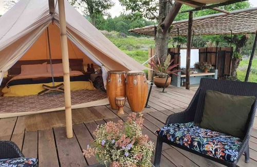 Xico Casa | Escápate a un bosque Mágico (Citlalapa)
