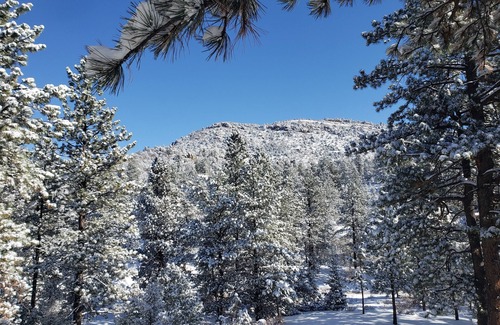 Howard Cabina | Escape to cozy Cotopaxi cabin, just a quick drive away from Arkansas River