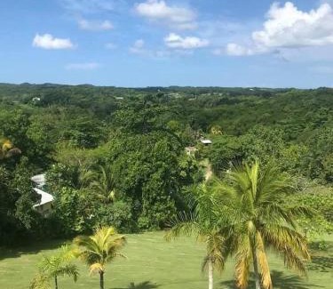 Negril Villa | Escape to ParakeetHill B&B