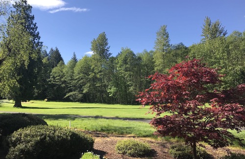 Welches Casa | ¡Escápese a los bosques susurrantes # 454! --- Mt. Hood Village, OR