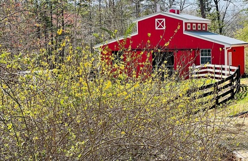 Helen Cabaña | Escape to Your Own Private Yellowstone! Trendy Horse Farm 5 miles from Helen GA!