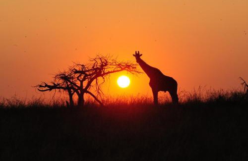 Ladysmith Cabina | Esiweni Luxury Safari Lodge