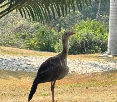 Remonta Casa | Espaço da Reserva