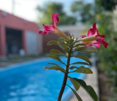 Juazeiro do Norte Casa | Espaço para lazer Nova Primavera