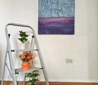 Calidonia Apartamento | Espacioso y fresco en el centro