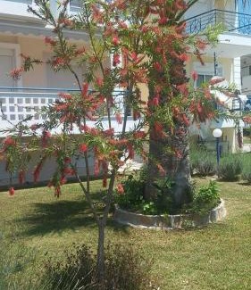 Skala Fourkas Apartamento | Esperides Villas