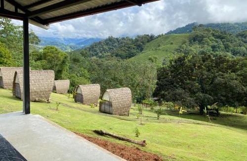 Naranjito Casa | Esquipulas Rainforest