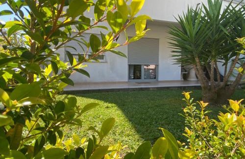 Arco Pintado Apartamento | ESSENCYAHOMECoimbra