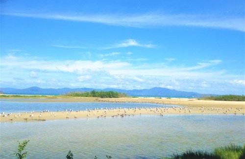 Ponta das Canas Casa | Estaleiro das Artes.