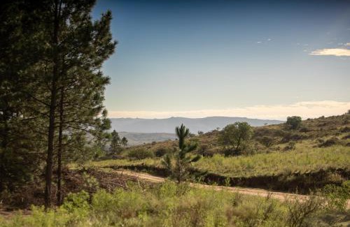 San Clemente Cabina | Estancia Acuarela del Río