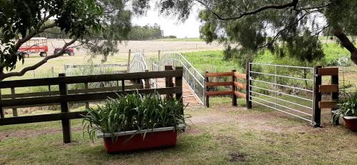 Atlantida Hotel | Estancia Renacimiento