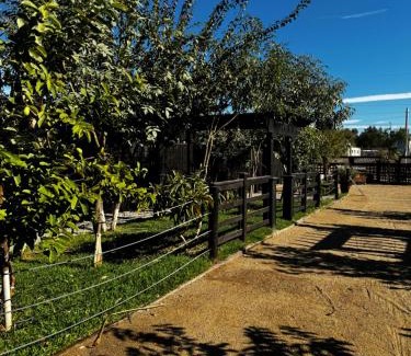 Valle de Guadalupe Hotel | Estancita Elena