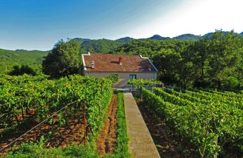 Rijecani Casa | Estate & Winery San Duyevo