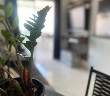 Mirim Apartamento | Estilo e Conforto, seu Lar a 100m da Praia