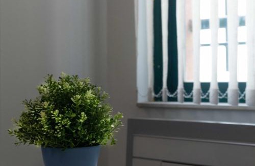 Zamora Apartamento | Estudio 19 Bajo reformado