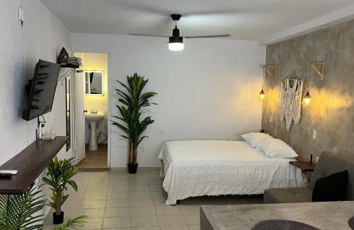 Centro de San José del Cabo Apartamento | Estudio céntrico con diseño industrial
