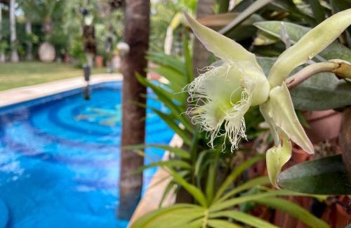 Puerto Aventuras Apartamento | Estudio Casa Jaguar
