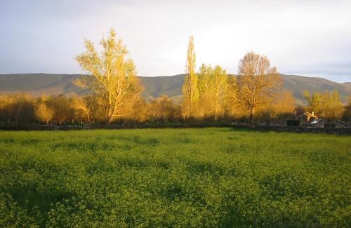 Huerta Casa | Estudio rural Estrella Polar III