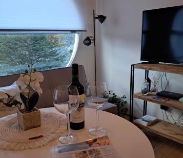 Province of Tierra del Fuego Apartamento | Estudio Suite
