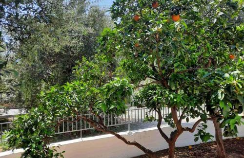 Leonidio Casa | Et In Arkadia Ego