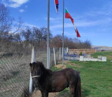 Dimitrovgrad Casa | Etno Deša Apartmani
