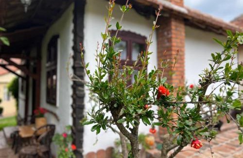 Central Serbia Apartamento | Etno kuća Danica