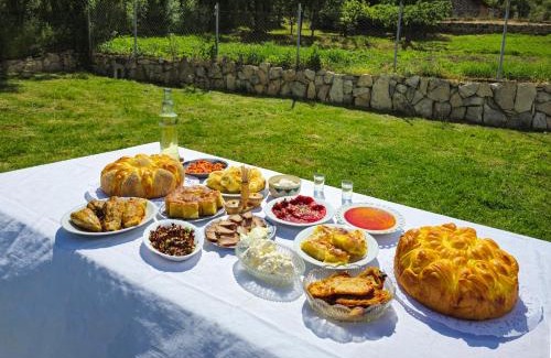 Nisava District Casa | Etno smeštaj Stojadinović