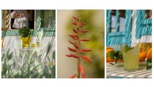 Kandia Casa | Eudaimonia Wooden Suites Nafplio Kandia