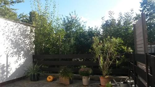 Ludwigshafen-Friesenheim Apartamento | Eulennest-lu