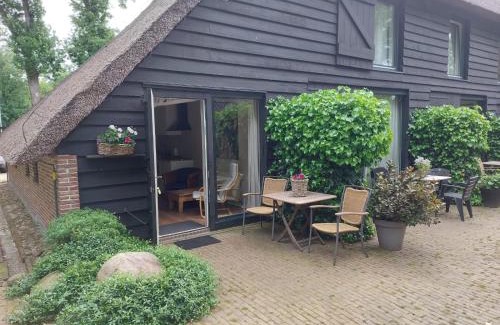 Havelte Apartamento | Eursingerhof