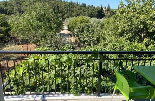 Jala Apartamento | Eva & Resul apartments