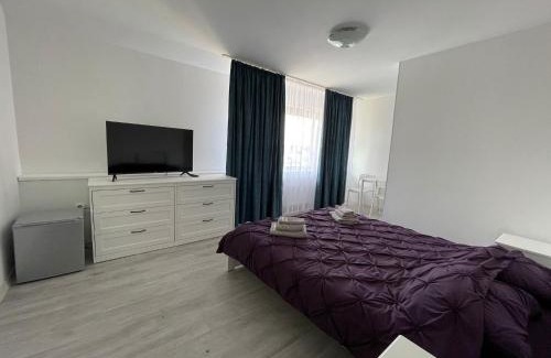 Tirgu Mures Casa | EVA's Rooms