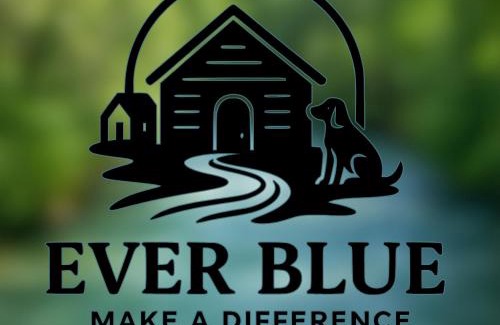 Ma'ayan Baruch Chalet De Esquí | Ever Blue Makes a Difference חוויה שעושה את ההבדל