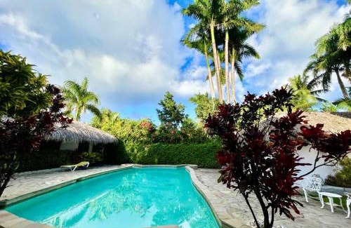 ProCab Casa | EverGreen Cabarete