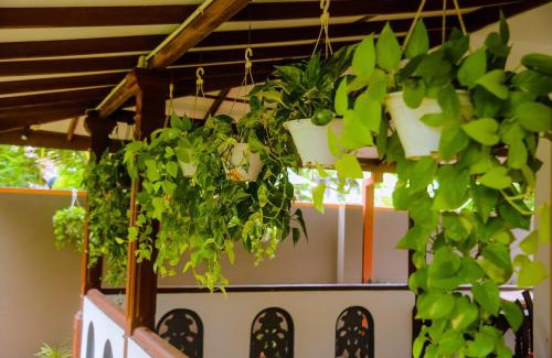 Mirissa Apartamento | Evergreen Cottage