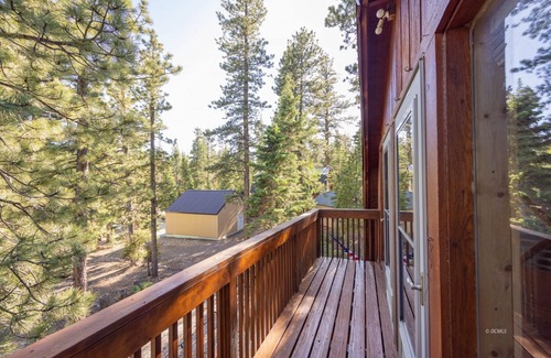 Meadow View Heights Cabina | Evergreen Escapes Cabin surrounded by Dixie National Forest