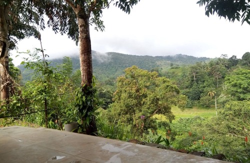 Kotapola Hotel | Evergreen Villa - Sinharaja