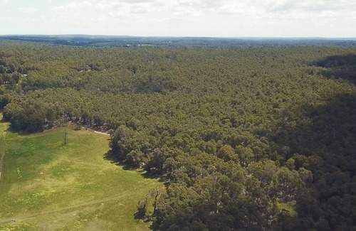 Mount Helena Complejo | Eversprings Glamping - Eco retreat - Mirkwood