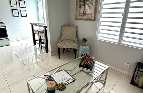 Eleanor Roosevelt Casa | Cozy Small Apart w AC WIFI Hato Rey Centro