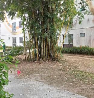 Ananindeua Apartamento | Excelente Apto com 2 quartos para COP 30