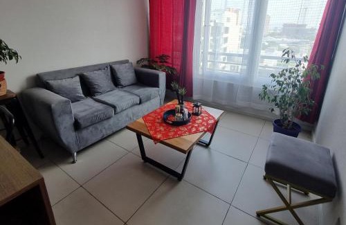 Downtown Santiago Apartamento | Excelente departamento en Santiago