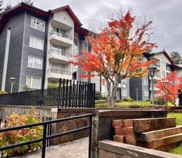 Pucon Apartamento | Excelente y Cómodo Departamento Cercano al Centro de Pucón y Volcán Villarica
