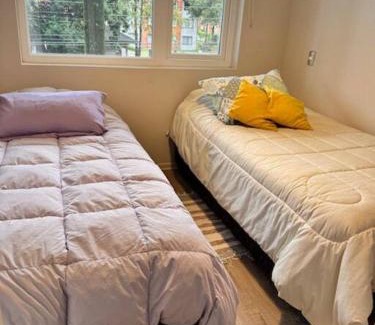 Pucon Apartamento | Excelente y Cómodo Departamento Cercano al Centro de Pucón y Volcán Villarica