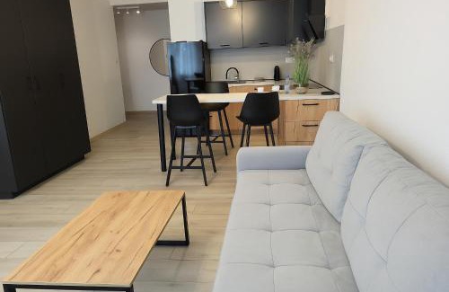 Opole Apartamento | Exclusive Apartment - blisko Dworca, darmowy parking, późne wymeldowanie, rowerownia