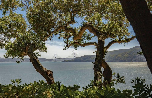 Belvedere Tiburon Casa | Exclusive Belvedere Escape w/ pool & stunning ocean views