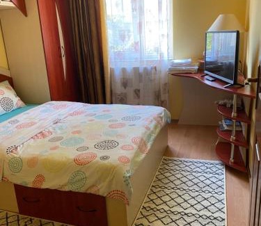 Baia Mare Apartamento | Exclusive HORTENSIEI