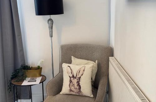 Barry Apartamento | Executive Studio Apartment in the heart of Barry, Flat 1
