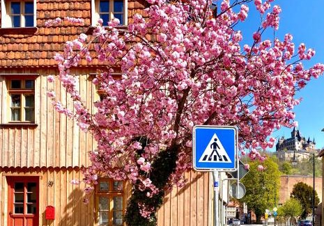 Wernigerode Apartamento | Exklusive ökologische Ferienwohnung , Innenstadt, DG